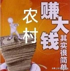 真正的偏门暴利项目有哪些（六个非常赚钱的偏门生意详解）